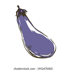 Vector illustration of eggplant. Fresh vegetables.