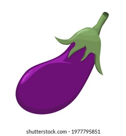 vector illustration of an eggplant isolated on a white background
