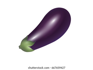 A vector illustration of an eggplant isolated on a white background
