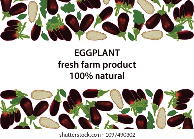 vector illustration of eggplant and leaf design background white and vegetable and text fresh farm product 100% natural EPS10