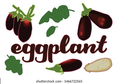 vector illustration of eggplant and leaf design isolated with lettering eggplant background white and vegetable EPS10