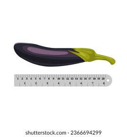 Ilustración vectorial, berenjena y regla, como concepto para medir la longitud del pene, aislada en fondo blanco.