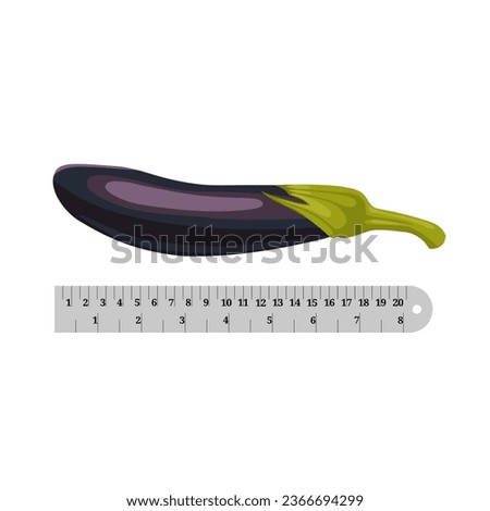 Vector illustration, eggplant and ruler, as a concept for measuring penis length, isolated on white background.
