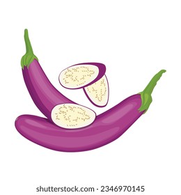 Vector illustration eggplant slice vegetable in cartoon flat style. Aubergine purple fresh, plant food, organic healthy, agriculture brinjal garden. Raw violet eggplant sliced in white background.