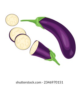 Ilustración vectorial rebanar la verdura en forma de caricatura plana. Fresco de berenjena morado, alimento vegetal, saludable orgánico, agricultura brinjal jardín. Oberenjena violeta cruda cortada en fondo blanco.