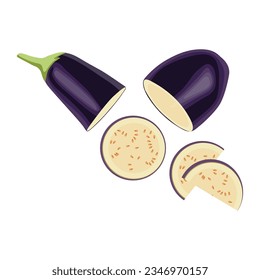 Vector illustration eggplant slice vegetable in cartoon flat style. Aubergine purple fresh, plant food, organic healthy, agriculture brinjal garden. Raw violet eggplant sliced in white background.