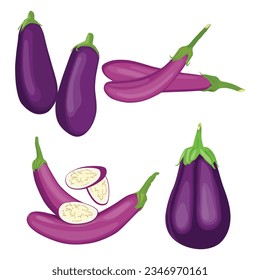 Ilustración vectorial rebanar la verdura en forma de caricatura plana. Fresco de berenjena morado, alimento vegetal, saludable orgánico, agricultura brinjal jardín. Oberenjena violeta cruda cortada en fondo blanco.