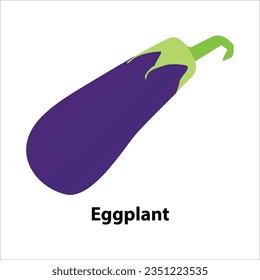 Vector illustration eggplant vegetable in cartoon flat style. Aubergine purple fresh, plant food, organic healthy, agriculture brinjal . Raw violet eggplant in white background.