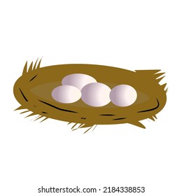 Vektorgrafik von Eiern in einem Vogelnest