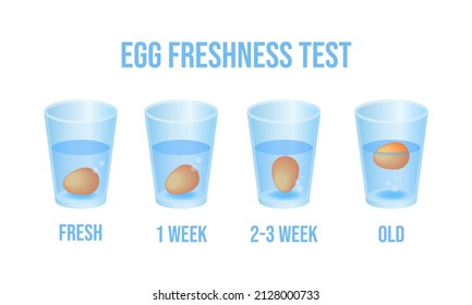 Vector illustration eggs floating in transparent glass of water isolated on white background. Egg float test infographic vector icons in flat cartoon style. Egg freshness test. Expiration date check.