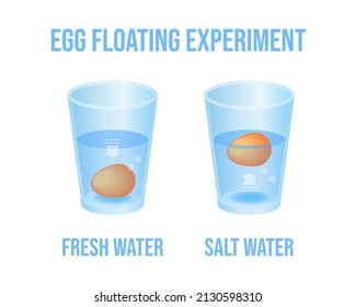 Vector illustration eggs floating in transparent glass of water isolated on white background. Egg float test infographic vector icons in flat cartoon style. Science Experiment in fresh and salt water.