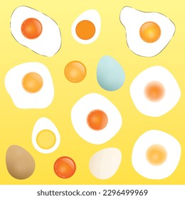 Vector illustration of eggs including sunny side up, poached, hard boiled, fried, and egg yolks