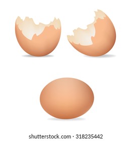 Vector Illustration Of Eggs Shells. Cracked Eggs. Brown Realistic Egg Shell Icon, Isolated On White Background. 