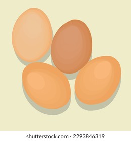vector illustration of eggs top view isolated white background. 