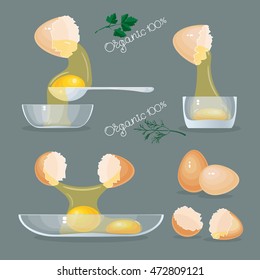 Vector illustration with eggs, yolks, glair, eggshells and glass bowls
 on grey background.
