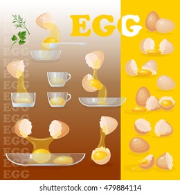 Vector illustration with eggs, yolks, white, eggshells and glass bowls. Egg set.