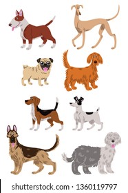 Vector illustration of eight dogs of different breeds: a bull terrier, a greyhound, a pug dog, a golden retriever,  a beagle, a Jack Russell, a german shepherd and a bobtail; cartoon style.