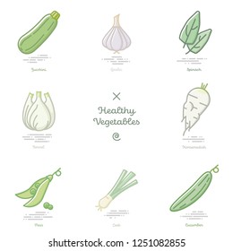 Vector illustration of eight healthy vegetables including zucchini, garlic, spinach, fennel, horseradish, peas, leek and cucumber