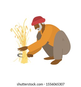 Vector illustration of elderly indian farmer sitting on haunches cutting the wheat. Authetic agriculture. Asian worker. Eat local concept.