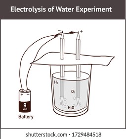 Vector illustration of Electrolysis: Splitting Water