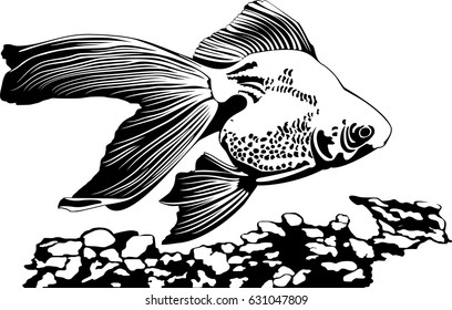 vector illustration of elegance hand black and white drawn abstract fish