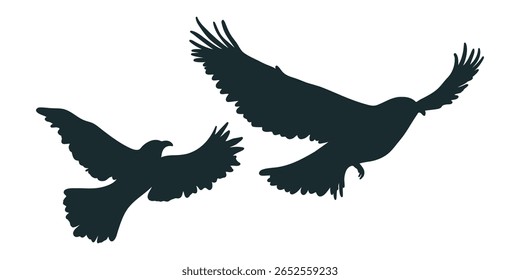 vector illustration elegant bird silhouette with outstretched wings