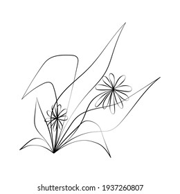 Ilustración vectorial del elegante arte de la línea botánica. Buena para cubierta, afiche, tarjeta y otros.