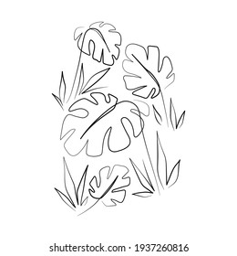 Vector Illustration of Elegant Botanical Line Art. Good for Cover, Poster, Card, and other.