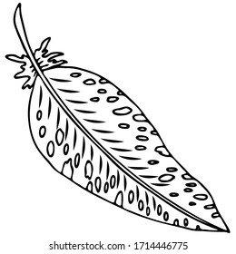 vector illustration, elegant feather in doodle style in black, logo symbol for design, print for coloring, print on t-shirt, cup, isolate on a white background