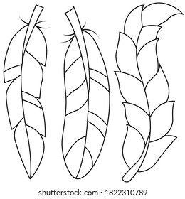 vector illustration, elegant feather in doodle style in black, logo symbol for design, print for coloring, print on t-shirt, cup, isolate on a white 