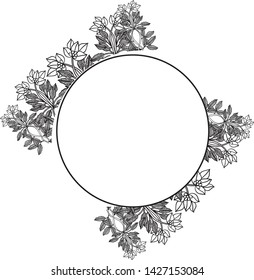 Vector illustration elegant flower frame with backdrop white