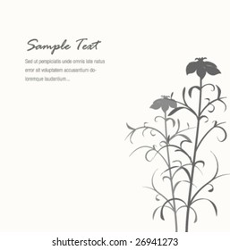 Vector illustration, elegant gray flower background with sample text