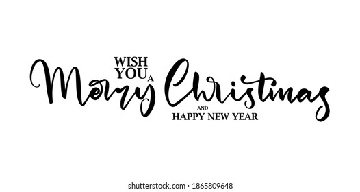 Vector illustration:  Elegant  lettering type composition of Wish You a Merry Christmas on white background. 