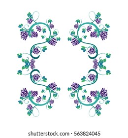 Vector illustration with  elegant vines and bunches of grapes frame. 