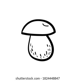 Elemento de ilustración vectorial con hongos en estilo doodle. Alimentos dibujados a mano. Icono, símbolo, logotipo. ingrediente t para cocinar.