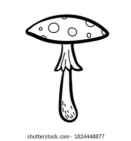 Elemento de ilustración vectorial con hongos en estilo doodle. Alimentos dibujados a mano. Icono, símbolo, logotipo. ingrediente t para cocinar.