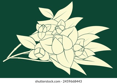Vector illustration element. Romdol flower design