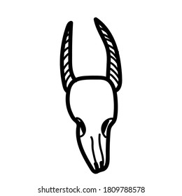 Vector illustration element  with skull in doodle style. Hand drawn. Icon, symbol, logo. halloween