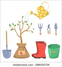 vector illustration and elements, Apple tree seedling, red rubber boots and green bucket, watering can, wire cutters