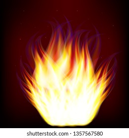 
Vector illustration, elements set for design. Red and yellow light effect. Realistic bonfire, fire smoke and sparks. Fiery flames on a dark background
