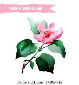 Vector Illustration of Elements Watercolor Flower for Design, Website, Background, Banner. Water Colour Texture Element Template. Use on Textile or Wallpaper. Violet, Green, Pink, Red. 