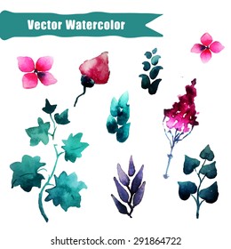 Vector Illustration of Elements Watercolor Heartsease Flower for Design, Website, Background, Banner. Water Colour Texture Element Template. Use on Textile or Wallpaper. Violet, Green, Pink, Red. 