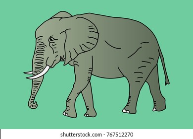 Vector illustration elephant