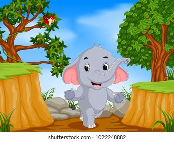 vector illustration of Elephant and bird with mountain cliff scene
