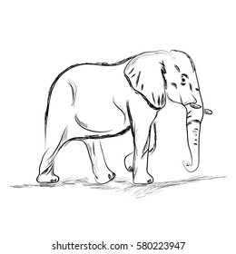 Vector illustration of elephant doodle on white background. Design of elephant.