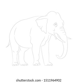 vector illustration elephant graphic line goes, vector, white background