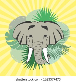 Vector illustration of elephant head and palm leaves.