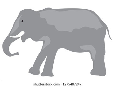 vector illustration of an elephant isolated on white background.