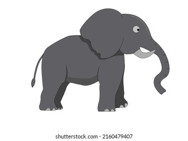 vector illustration of elephant for kids 
