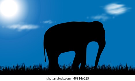 Vector illustration of a elephant on meadow at sunny day.